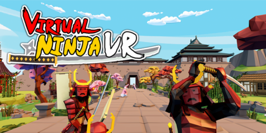 Virtual Ninja image