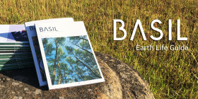 Basil : Earth life guide